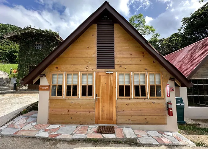 Hadco Experiences At Asa Wright Nature Centre